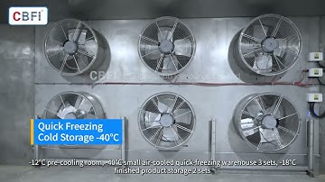 Large Quick Freezing Cold Storage Frozen Products Such As Chicken Ribs And Beef Steak