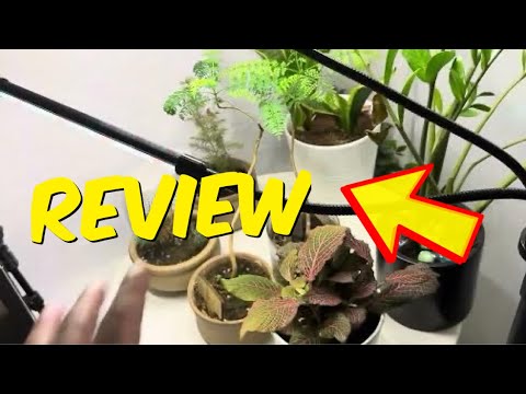 GHodec Grow Light with Stand Floor Plant Light Review - YouTube
