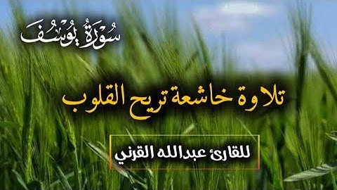 وَجَآءَ إِخۡوَةُ يُوسُفَ فَدَخَلُواْ عَلَيۡهِ سورة يوسف تلاوة تريح القلوب | القارئ عبدالله القرني