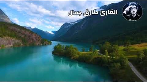 تلاوة خاشعه ومبكيه فأطلع فرآه فى سواء الجحيم