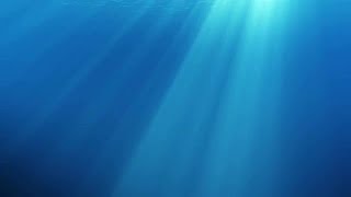 Underwater Scene With Air Bubbles Stock Motion Graphics