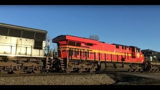 Norfolk Southern 994-Rare 11 Engine Hospital Train/NS Heritage Unit! Seney/Brice, GA 1/21/2018 ©