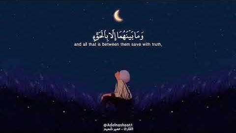 قرآن كريم  بصوت عمير شميم 💙 | حالات واتس اب دينية