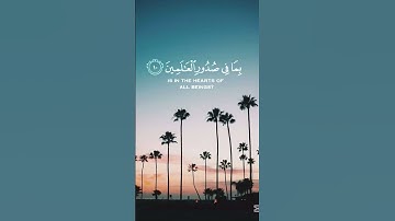 #اكسبلور #الرحمن #المصحف #العظماء #دويتو #روائع_عبد_الباسط #راحة_نفسية #سورة_الكهف #القزابري #لايك