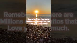 If you ever feel lonely…💔 REMEMBER THIS #shorts#fyp#motivationalquotes #youtube#viral If you ever feel lonely…💔 REMEMBER THIS #shorts#fyp#motivationalquotes #youtube#viral