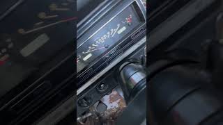 IMG 3472