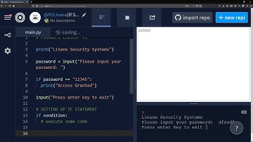 Python If Statements (Password Checker)