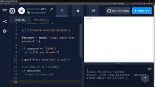 Celebrity Python If Statements (Password Checker) Net Worth