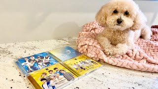 Bts Lights Boy With Luv Cd Unboxing - All Versions