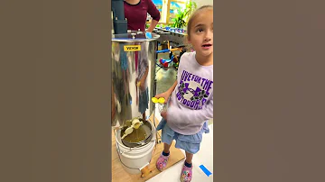 Cute Girls Helping Dad Harvest Honey Beekeeping Fun Sweet Rewards Beekeeping AlaskaLife Shorts 