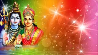 4K Bol Bam Video 4K Background Video Hd बल बम Video 2020