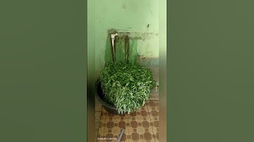 Jumat berkah berbagi, Alhamdulillah, 🙏🙏