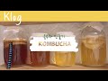 콤부차 만들기 How to make Kombucha / 주로먹고마시는이야기 kitchen log