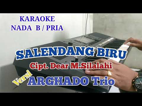 SELENDANG BIRU - KARAOKE NADA WANITA - KARAOKE DANGDUT KOPLO TERBARU 2024