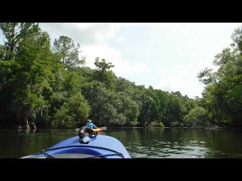Kayaking - Rotary Park to Lettuce Lake @crixus1032