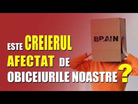 ESTE CREIERUL AFECTAT DE OBICEIURILE NOASTRE ? 12 OBICEIURI CARE DISTRUG FUNCTIILE CREIERULUI