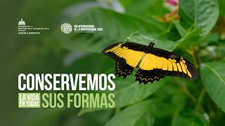 Protejamos la vida que nos conecta. 🌿