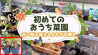 ど素人ですが