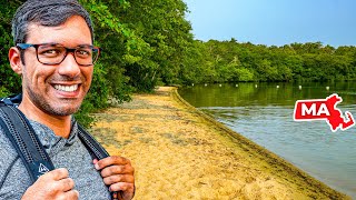 Hiking the Serene Lowell Holly Reservation | The Trustees of Reservations, Cape Cod: Mashpee, MA