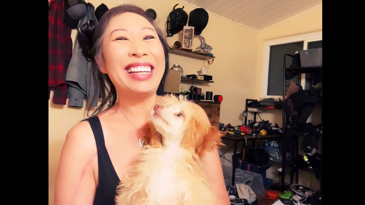 Обновление - С Новым годом по китайскому календарю!! Год Огненной Лошади!!!