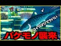 一目散に襲いかかってくる危険過ぎる肉食生物と大激闘を繰り広げる！