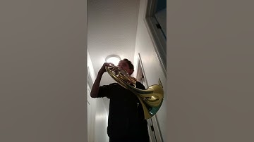 Thumbnail of The Force Theme on the French Horn  Hallway#starwars #frenchhorn