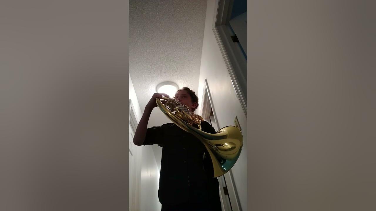 The Force Theme on the French Horn  Hallway#starwars #frenchhorn