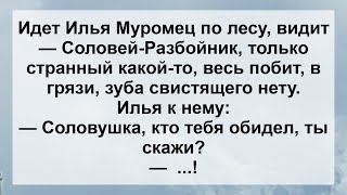 Илья Муромец и Соловей Разбойник! Анекдот дня Для Супер Настроения! Веселые Анекдоты!