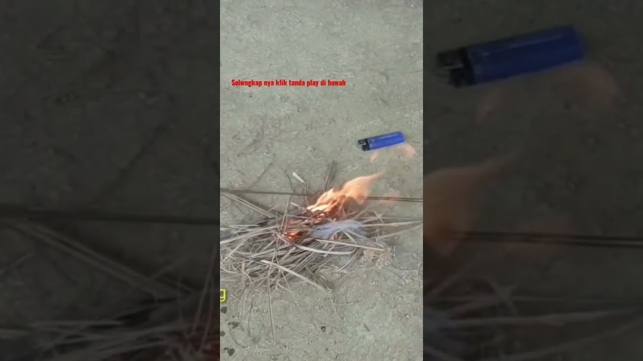 Cara membuat joran super lentur dari bambu