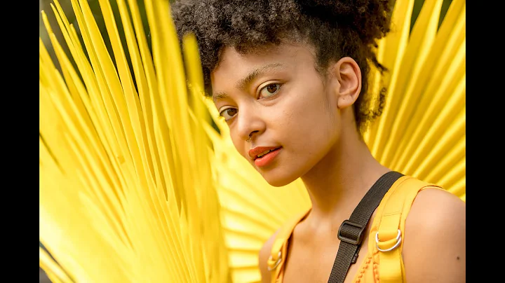 Amsterdam Open Air 2022 is back