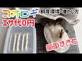 コオロギの飼育環境と増やし方【フルバージョン】