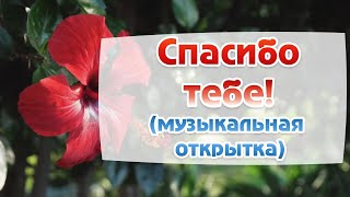 😰 ПРИМИТЕ ФИНАНСОВОЕ ИСЦЕЛЕНИЕ, КОТОРОЕ БОГ ПРИГОТОВИЛ ДЛЯ ВАС! не пропускайте это сообщение! ✨ - 20 