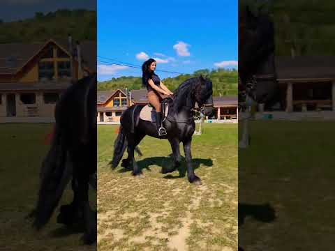 @PromovariCaiRomania #alexandradelahidalgo #horse