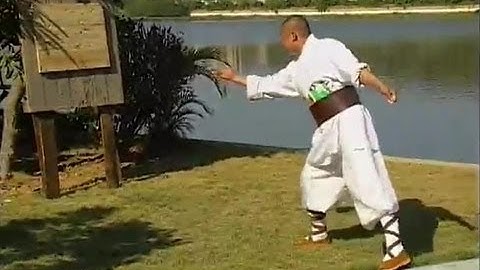 Shaolin Kung Fu hidden weapons 2