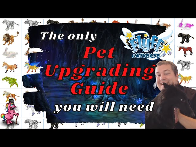 Flyff Universe - Pet Guide all you need to know about raised Pets - Best MMO 2022 class=