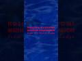 細野晴臣 - HONEY MOON(From Album “MEDICINE COMPILATION”)