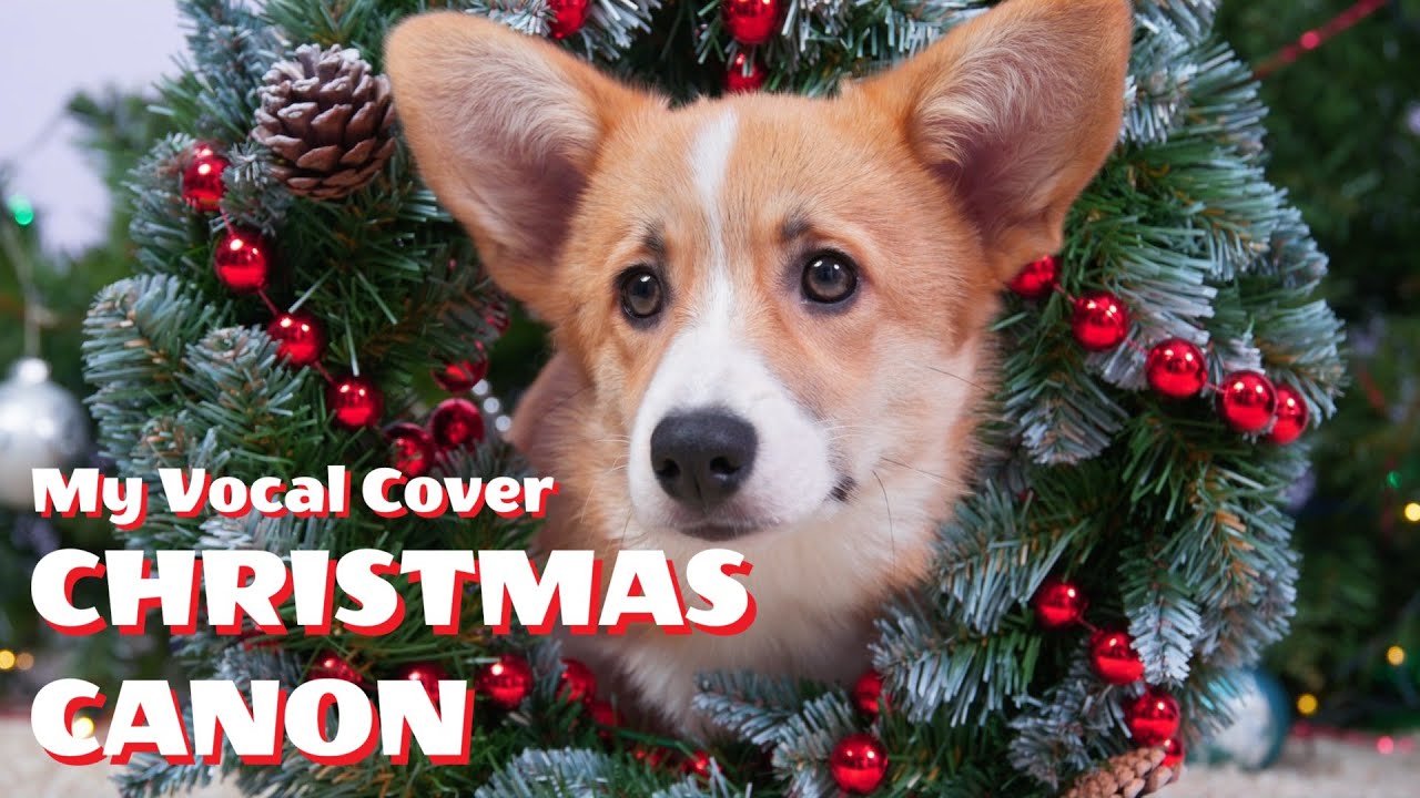 christmas-canon-lyrics-vocals-by-karen-2024-trans-siberian