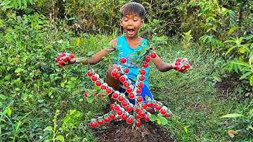 Survival Skills: SIMPLE and USEFUL with single mom in forest #bushcraft #camping #outdoors #idea