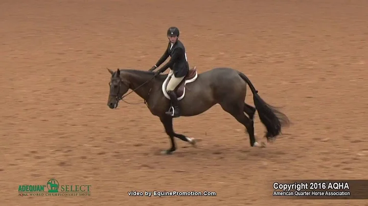 A Judges Perspective: 2016 Select Equitation Over ...