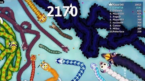 Snake Io GRIZZLY PYTHON EPIC GAMEPLAY Snake #snakegame #snakeiovideo #GameTok #snakeiogrizzlypython