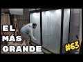 🤯BRUTAL TERRARIO PARA DENDROBATES!🐸 240x40x195cm | KANAKY VLOG #63