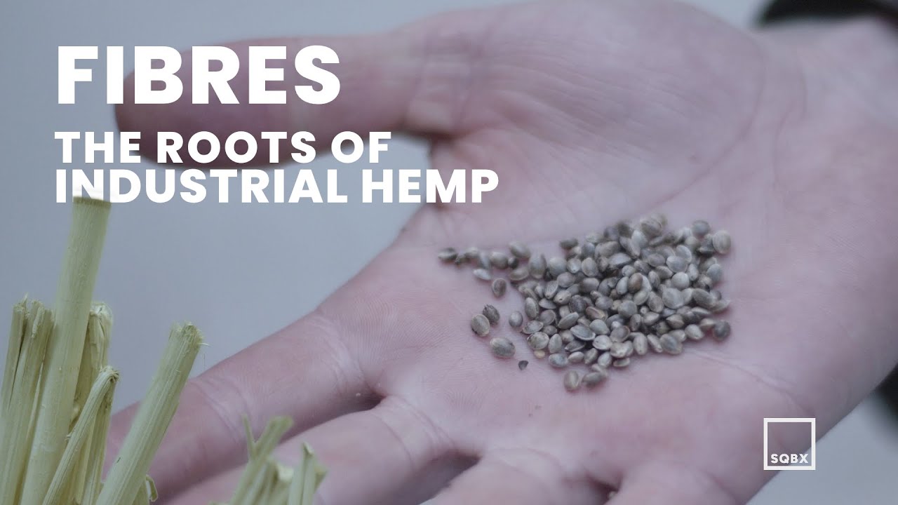 Fibres: The Roots of Industrial Hemp