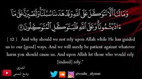 تلاوة بديعية بصوت الشيخ وديع اليمني