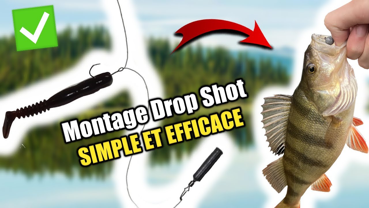 TUTO PÊCHE AU DROP SHOT (Montage et technique) - YouTube