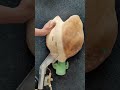So smooth and cleaning #funny #depression #gaming #fyp #home