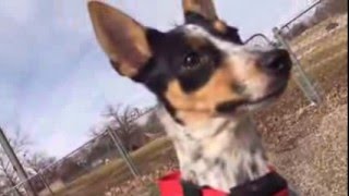 ❤Annie's Day at the Park❤