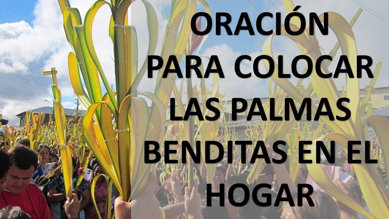 ORACIÓN PARA COLOCAR LAS PALMAS BENDITAS EN EL HOGAR DEL DOMINGO DE ...