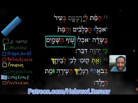 Listen Learn Hebrew Immersion 1 Kings 14 11 12 Every Word Visually Explained UHD Listen Learn Hebrew Immersion 1 Kings 14 11 12 Every Word Visually Explained UHD
