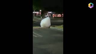 Famous Mysterious Clouds Float Through Parking Lot In California USA Profile