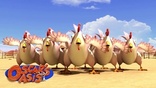 Oscars Oasis - Chick Notized